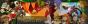 Dofus Lxd