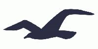 Un oiseau est passé par ici