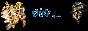 FlyForPhenix